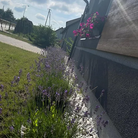 Numer 1, Dwie Sypialnie Dwa łóżka