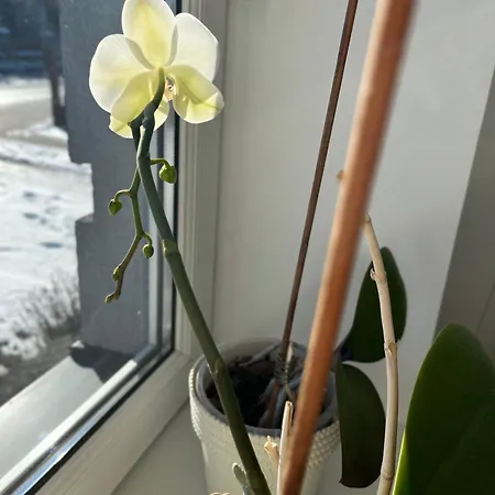 Appartement Numer 1, Dwie Sypialnie Dwa Lozka *